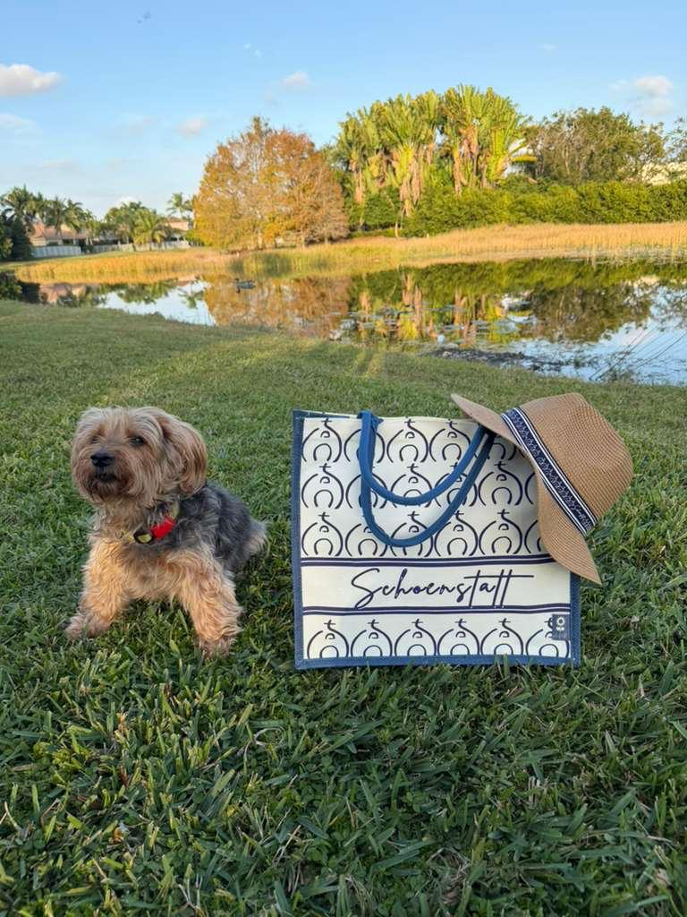 Bolso Schoenstatt – Edición Especial